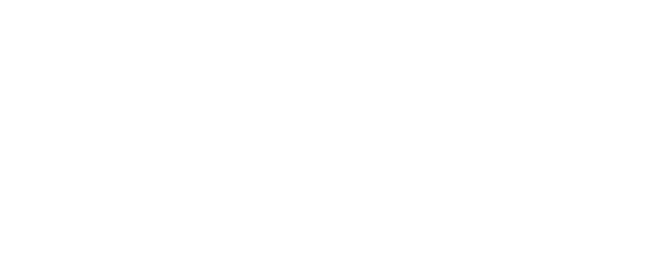 Cisco Partner Badge