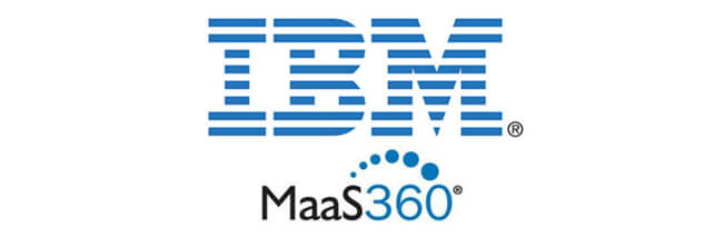 IBM Logo